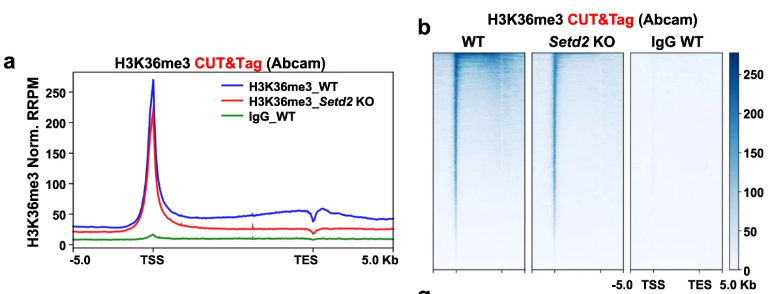 image-20220630080422697