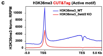 image-20220630080615182