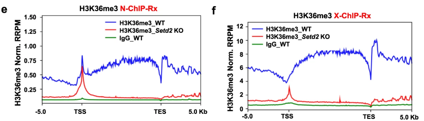 image-20220630080646953