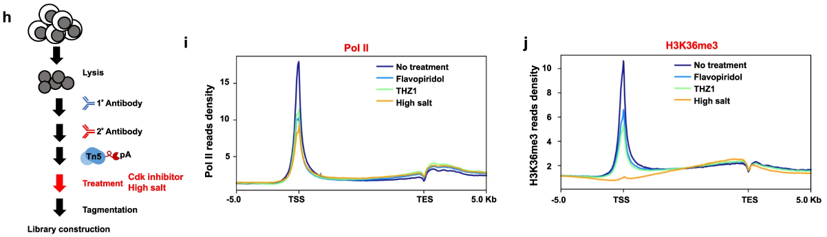 image-20220630080714215