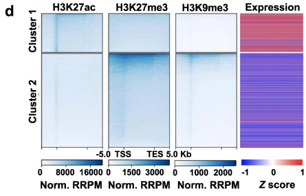 image-20220630080908961