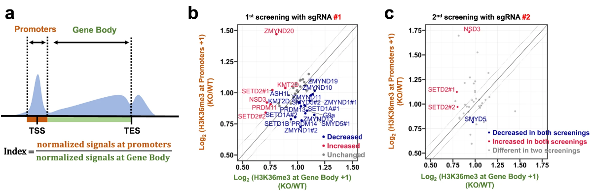 image-20220630081604439