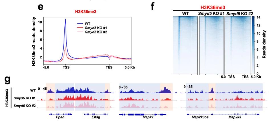 image-20220630082134627