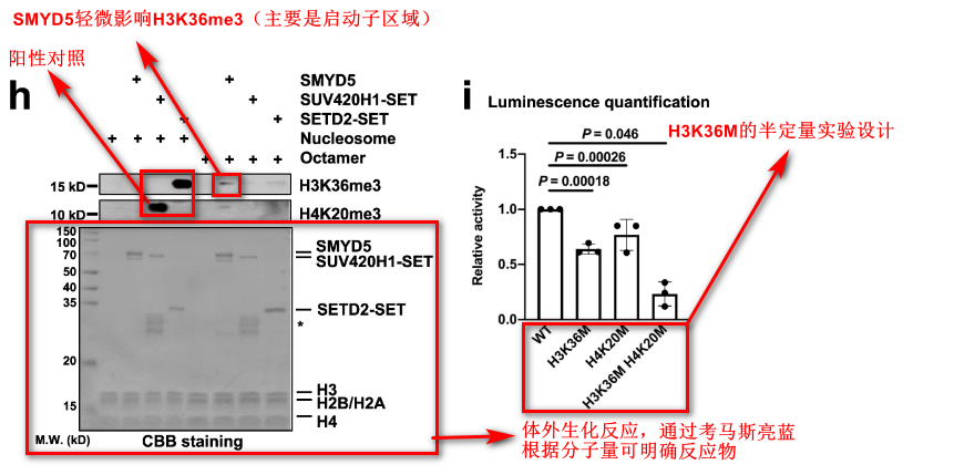 image-20220630083543343