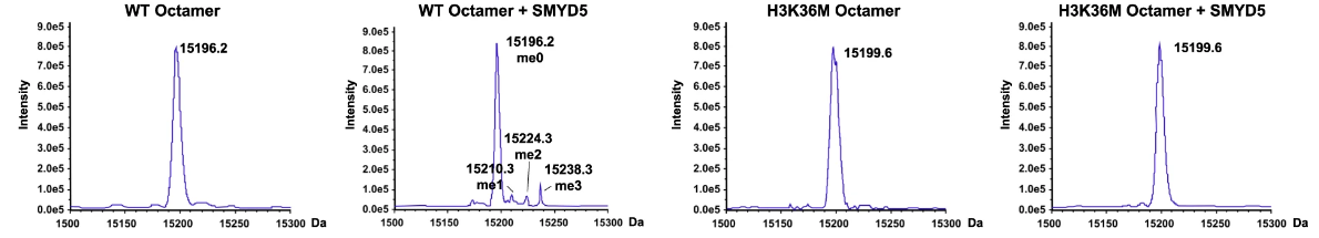 image-20220630084224848