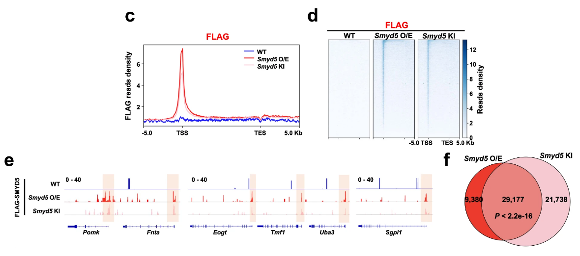 image-20220630084735471