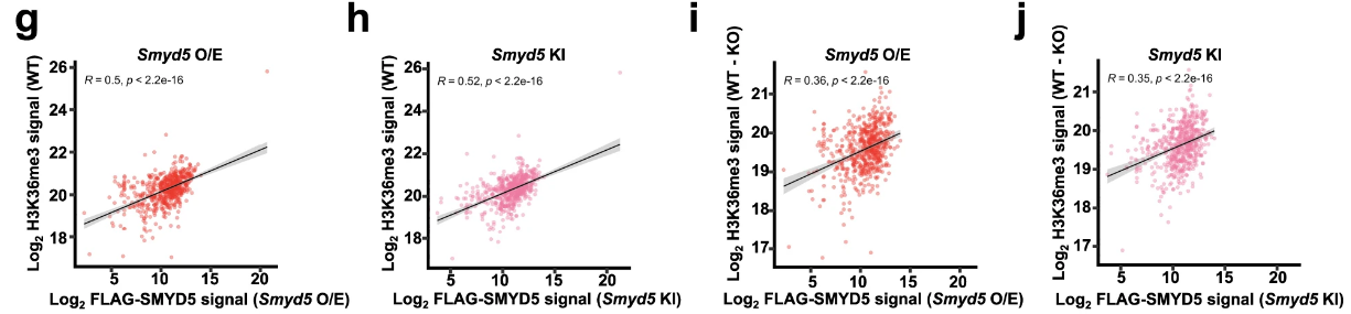 image-20220630085015036