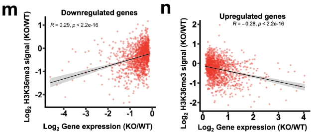 image-20220630085629657