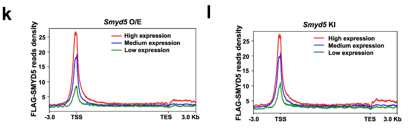 image-20220630085650619