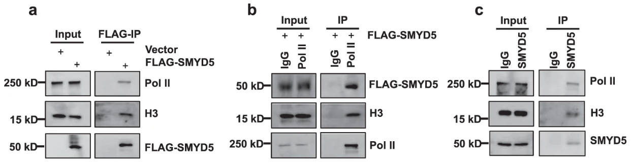 image-20220630090140313