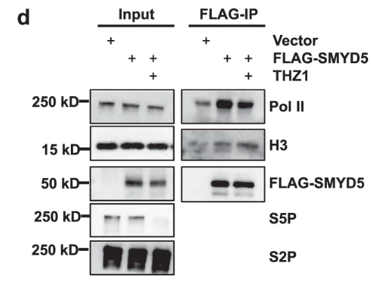 image-20220630090346069