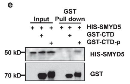 image-20220630090511318