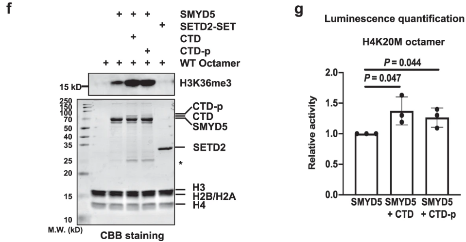 image-20220630090613040