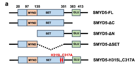 image-20220630091230157