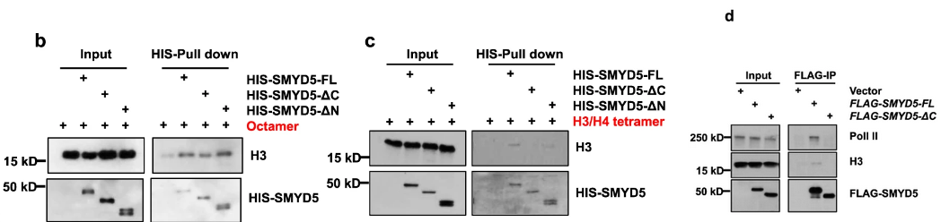 image-20220630091322810