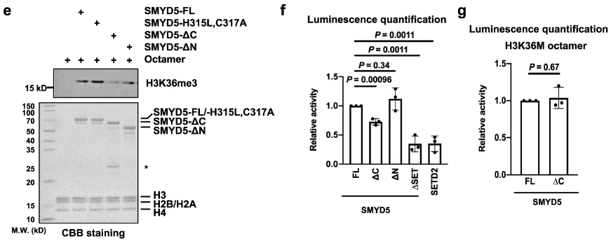 image-20220630091809672
