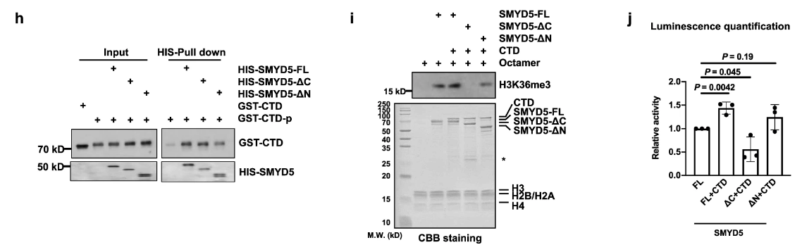 image-20220630091856396