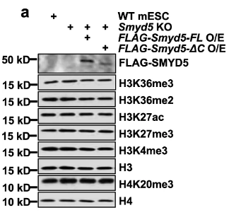 image-20220630092220263