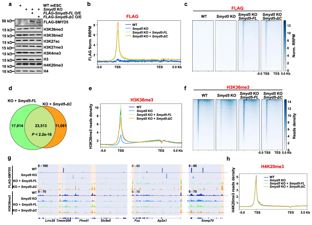 image-20220630092432258