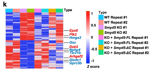 image-20220630092622225