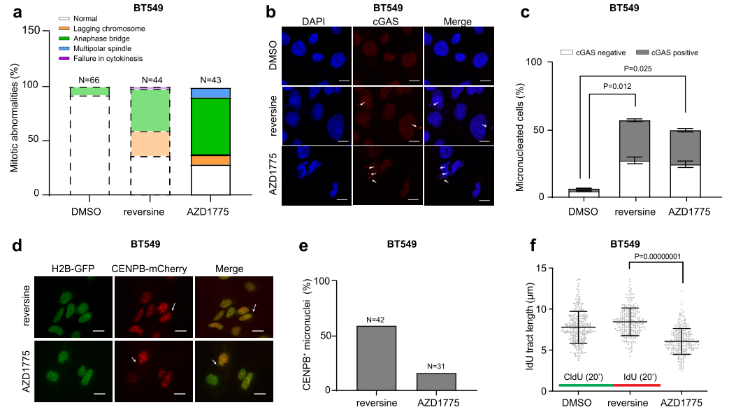 image-20220705163802588