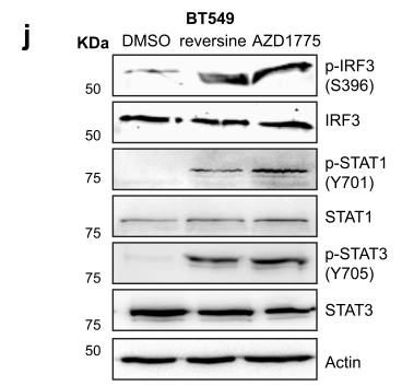 image-20220705170351517