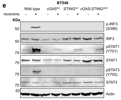 image-20220705174603063