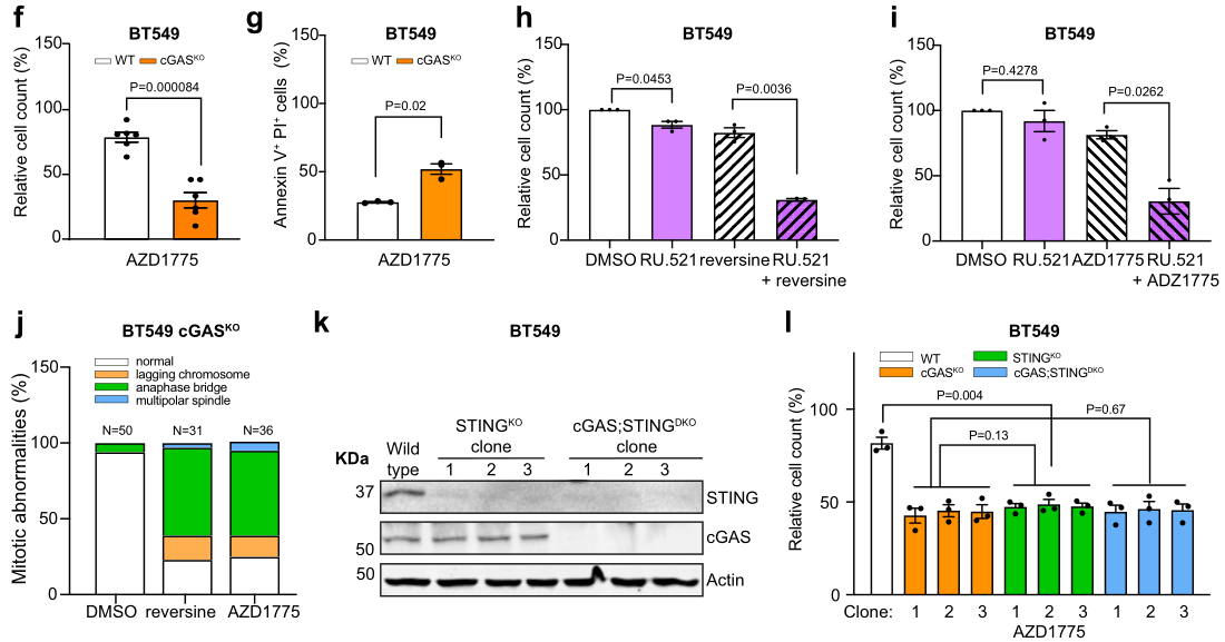 image-20220705175420264