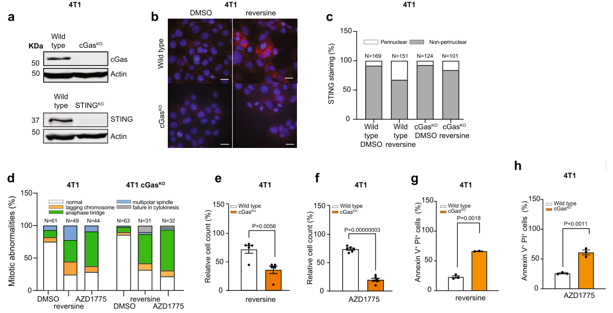 image-20220705180943679