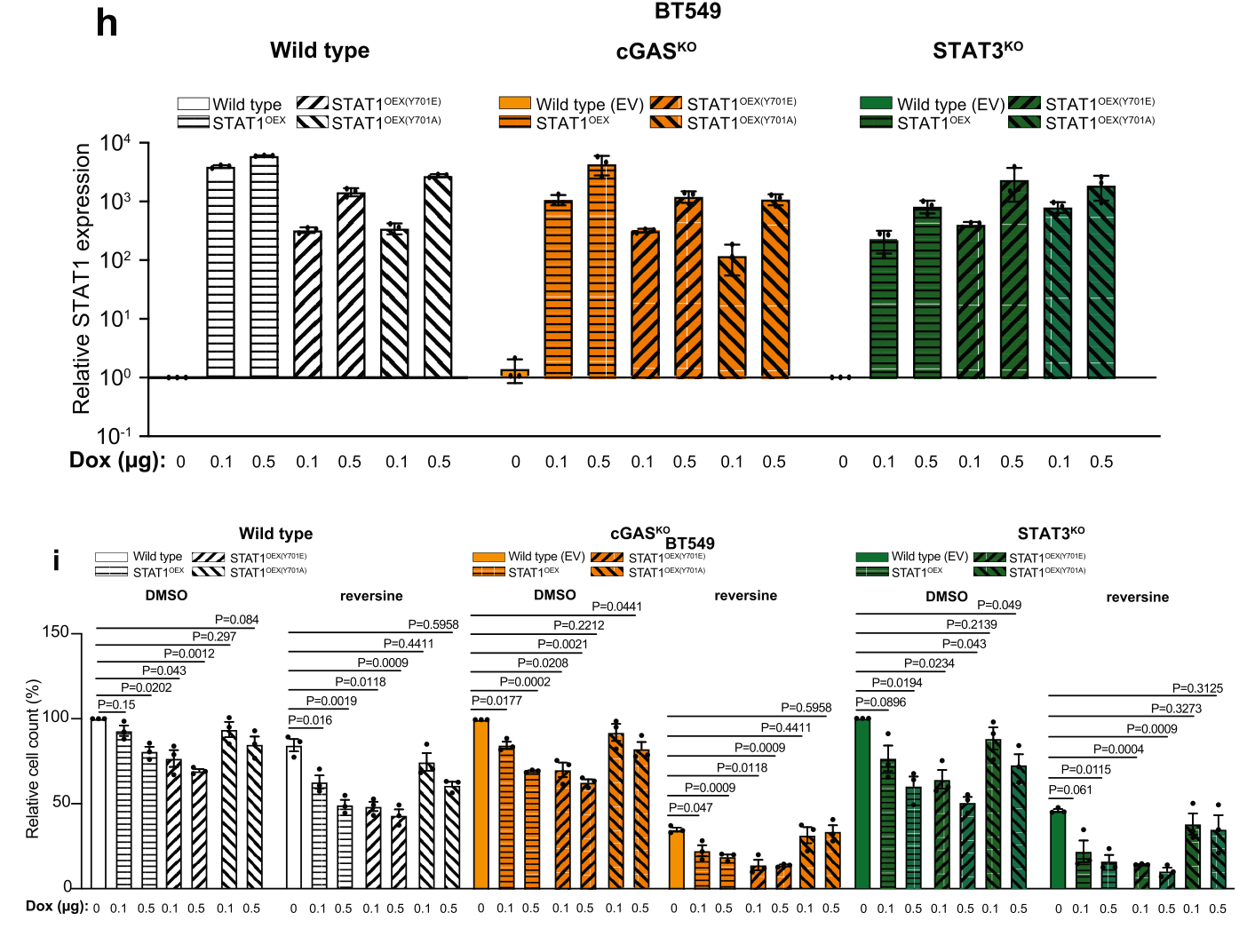 image-20220705214145808