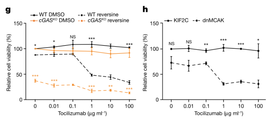 image-20220705233801124