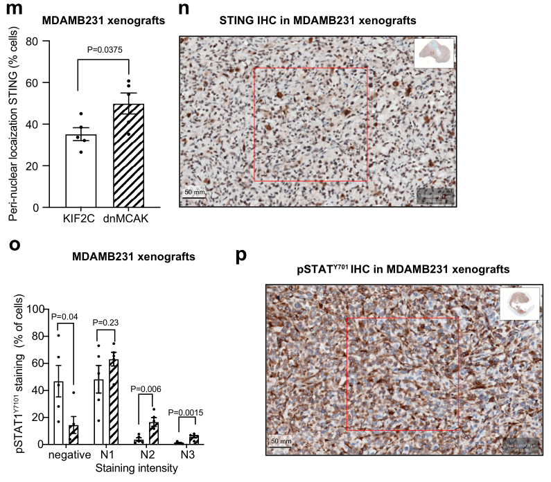 image-20220705234059696