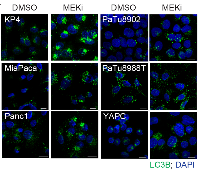 image-20220708211427696