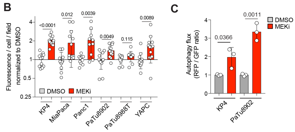 image-20220708211445700