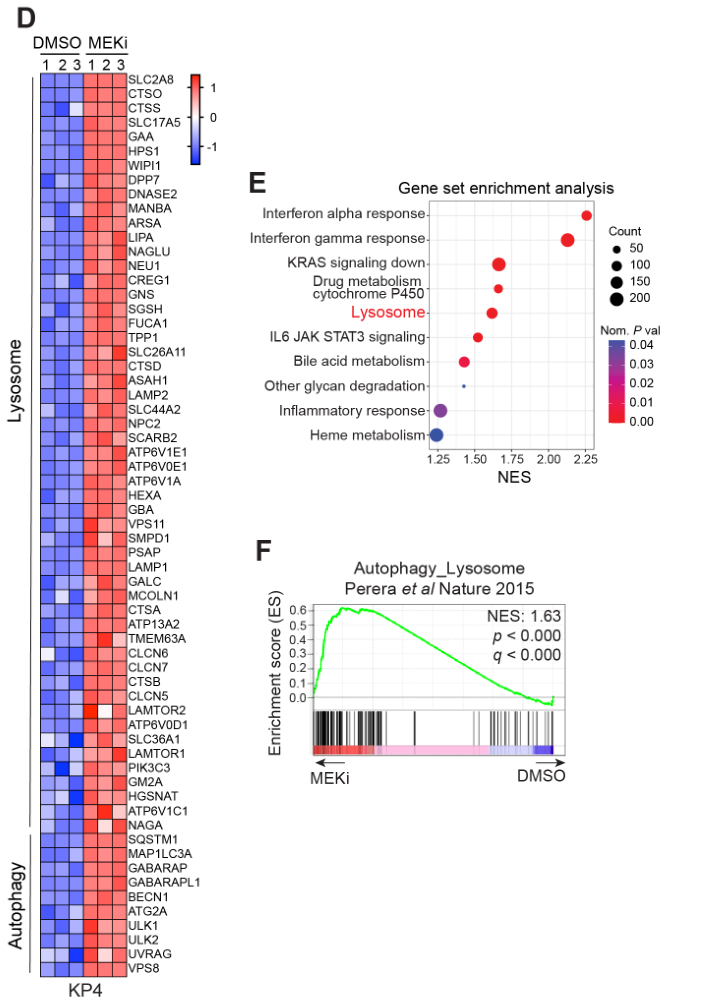 image-20220708212133381