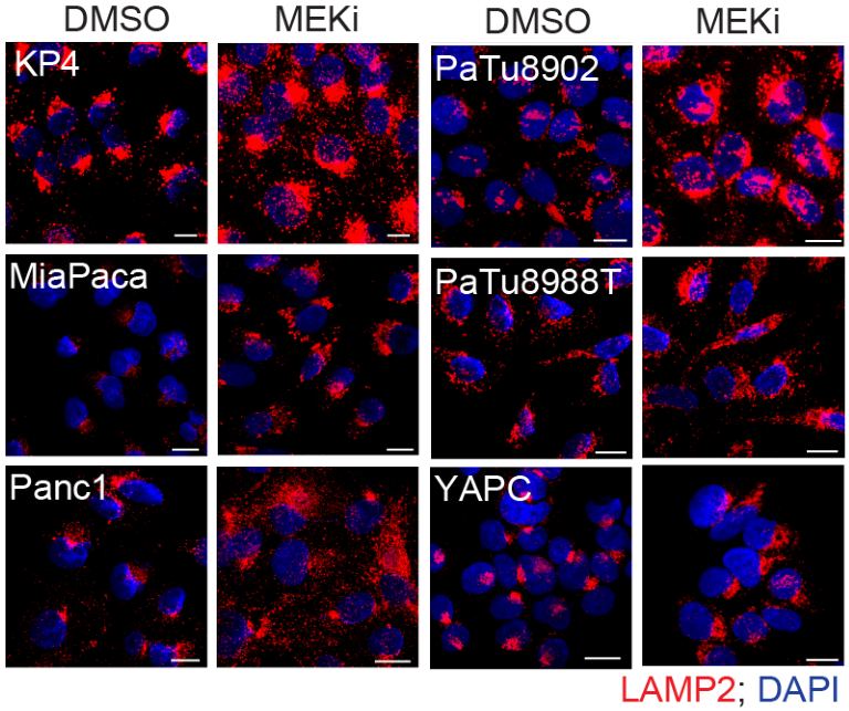 image-20220708212436108