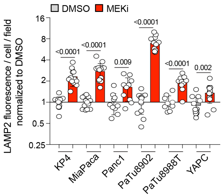 image-20220708212510585