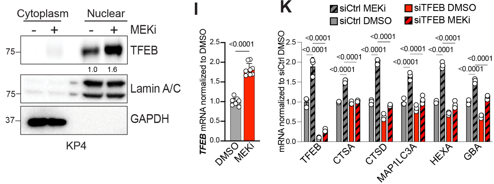 image-20220708212723041