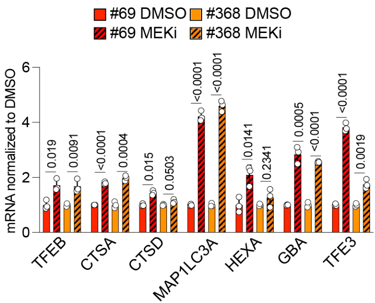 image-20220708212947212