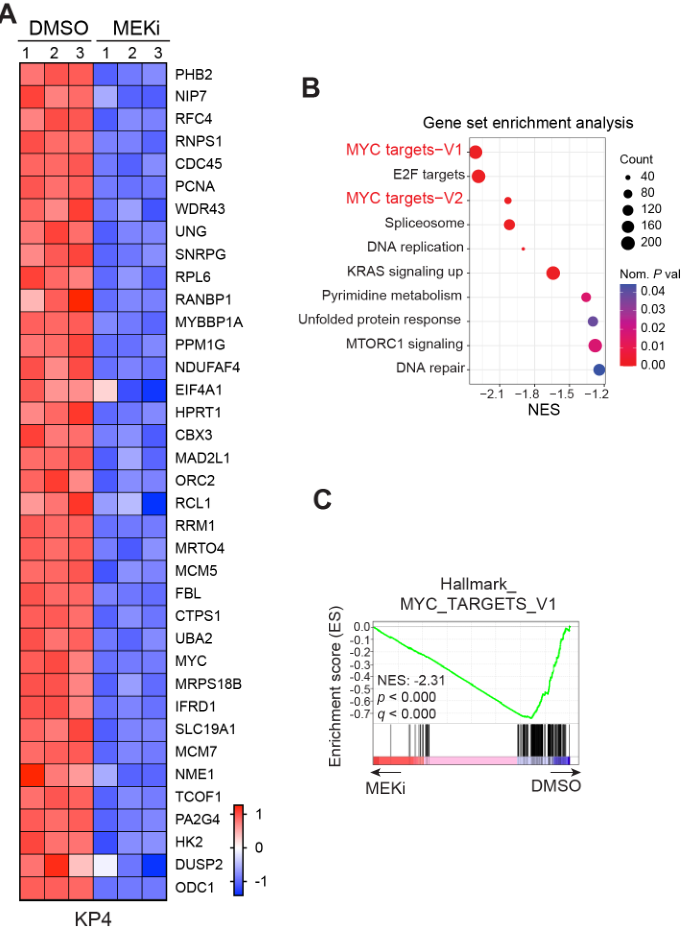 image-20220709165723871