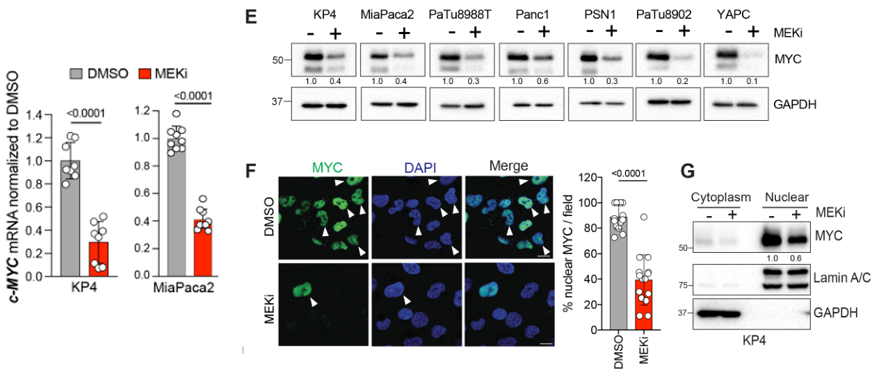 image-20220709170020821