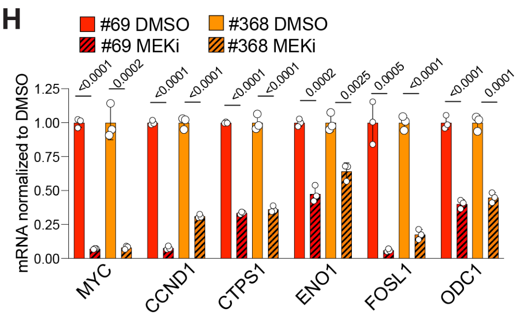 image-20220709170342333