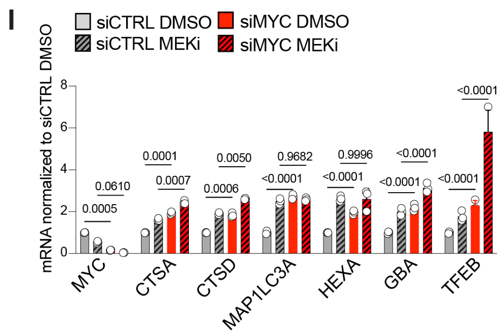 image-20220709170415076