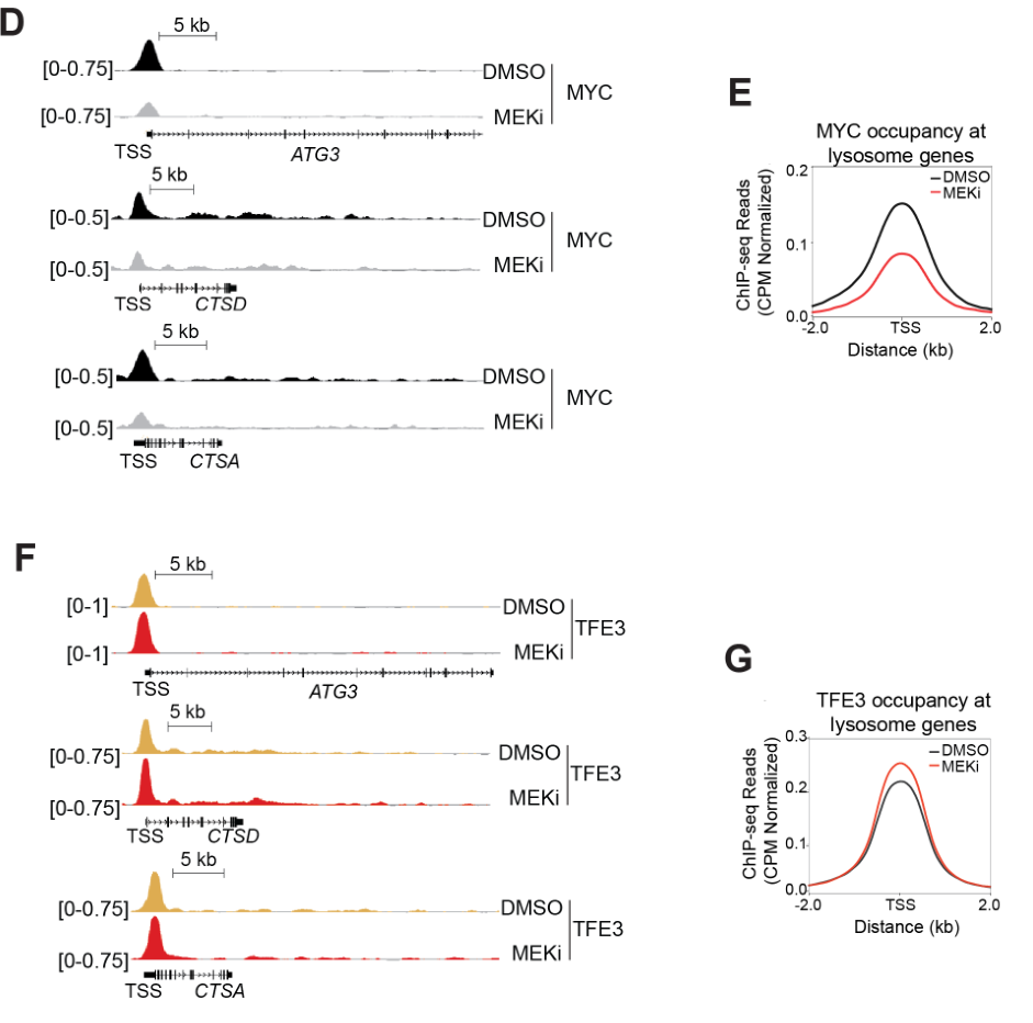 image-20220709202235010