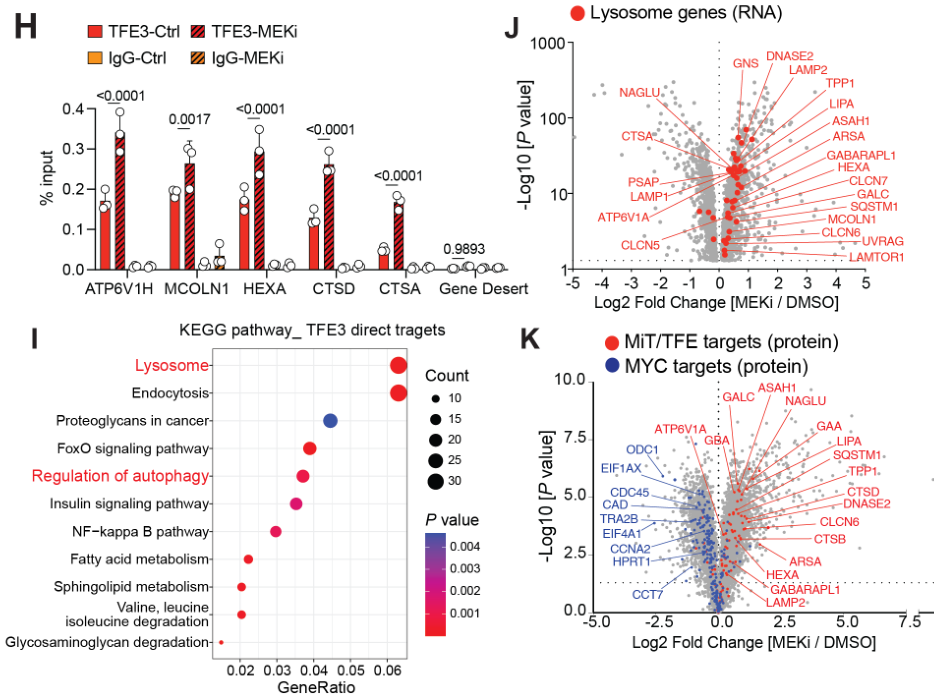 image-20220709204906550