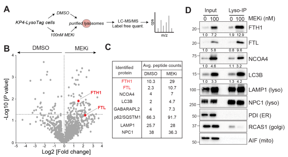 image-20220709211939333