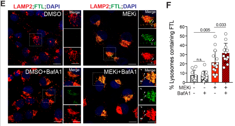 image-20220709212633115