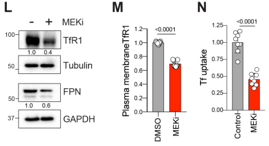 image-20220709213112715