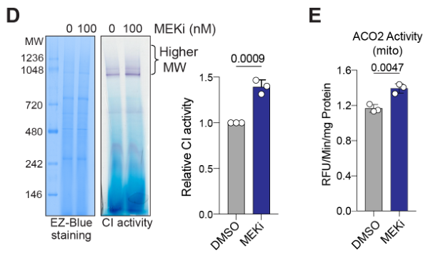 image-20220710073556822