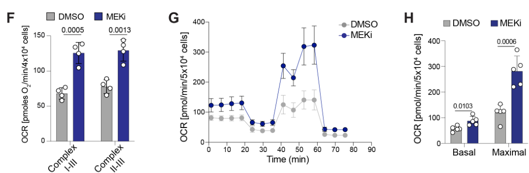 image-20220710073723955